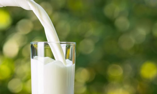 100 Years of Milk and Dairy Safety